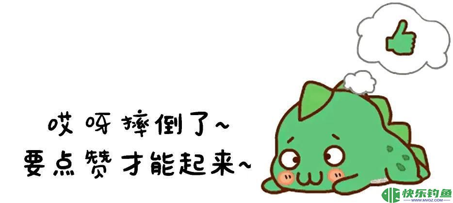 1.73米长，1.05米粗的青鱼有多重？钓友花5万8买回家，结果亏惨了(图32)