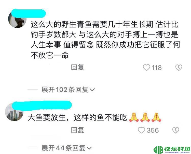 价值上万？男子在丹江口钓起“96斤青鱼王”，网友要求其放生(图8)