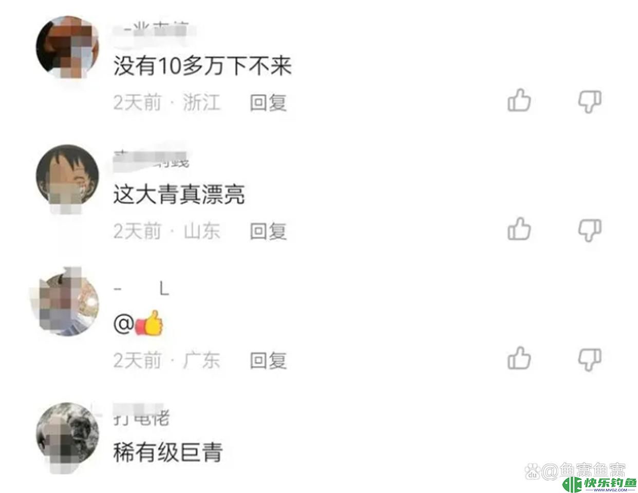 广东钓鱼人把钓获的青鱼养了20年，长到160斤，有人报价10万收购(图2)