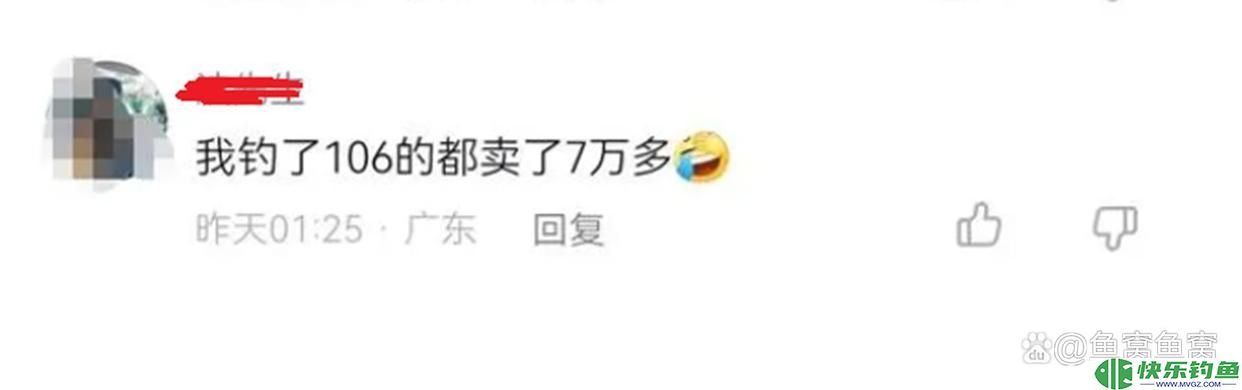 广东钓鱼人把钓获的青鱼养了20年，长到160斤，有人报价10万收购(图9)