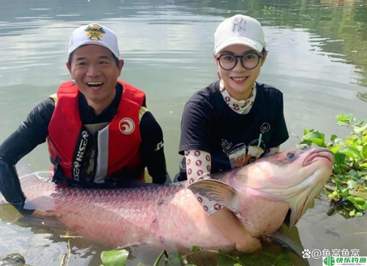广东钓鱼人把钓获的青鱼养了20年，长到160斤，有人报价10万收购(图11)