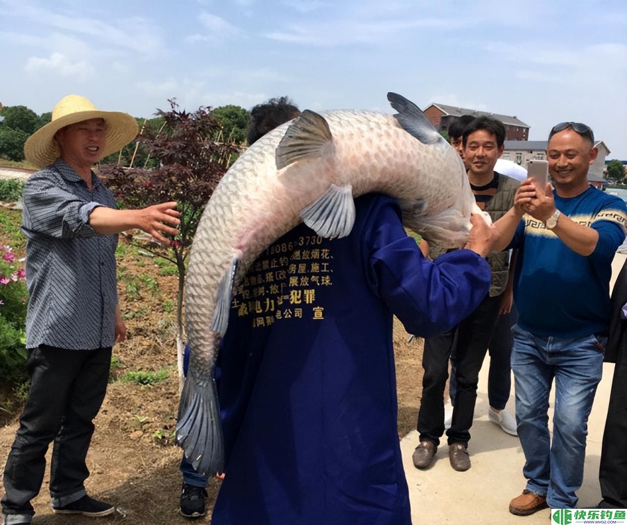 钓友的求助：挂螺蛳钓大青鱼，为什么非常多的黑漂却提竿没鱼？(图1)