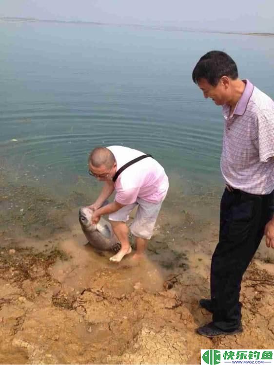 钓友的求助：挂螺蛳钓大青鱼，为什么非常多的黑漂却提竿没鱼？(图5)
