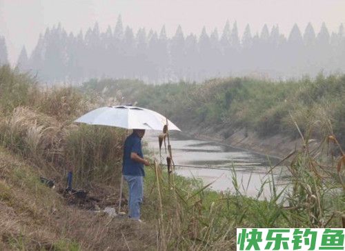 沟渠小河野钓的钓场饵料选择技巧(图1) 沟渠小河野钓的钓场饵料选择技巧(图1)
