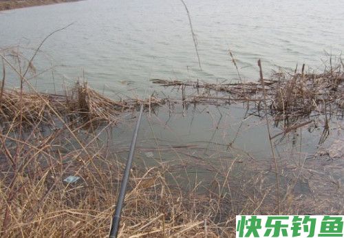 冬季野外传统钓法钓鲫鱼的技巧(图1)