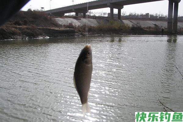 冬季野钓鲫鱼的时机与钓点选择(图1) 冬季野钓鲫鱼的时机与钓点选择(图1)