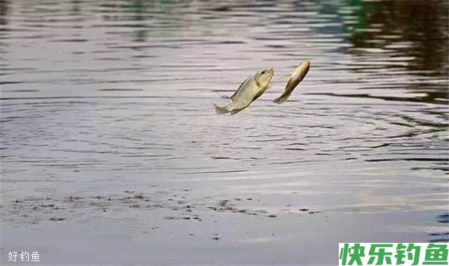 冬钓钓深钓浅的利弊谈(图2)