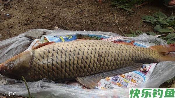 野钓大鱼的六大原则(图3) 野钓大鱼的六大原则(图3)