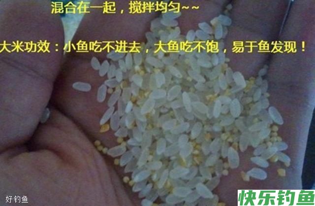 高手分享秘制酒米窝料配方，帮你冬天钓鲫鱼爆护(图3)