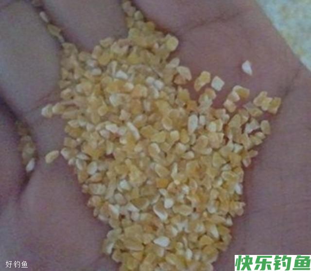 高手分享秘制酒米窝料配方，帮你冬天钓鲫鱼爆护(图2)