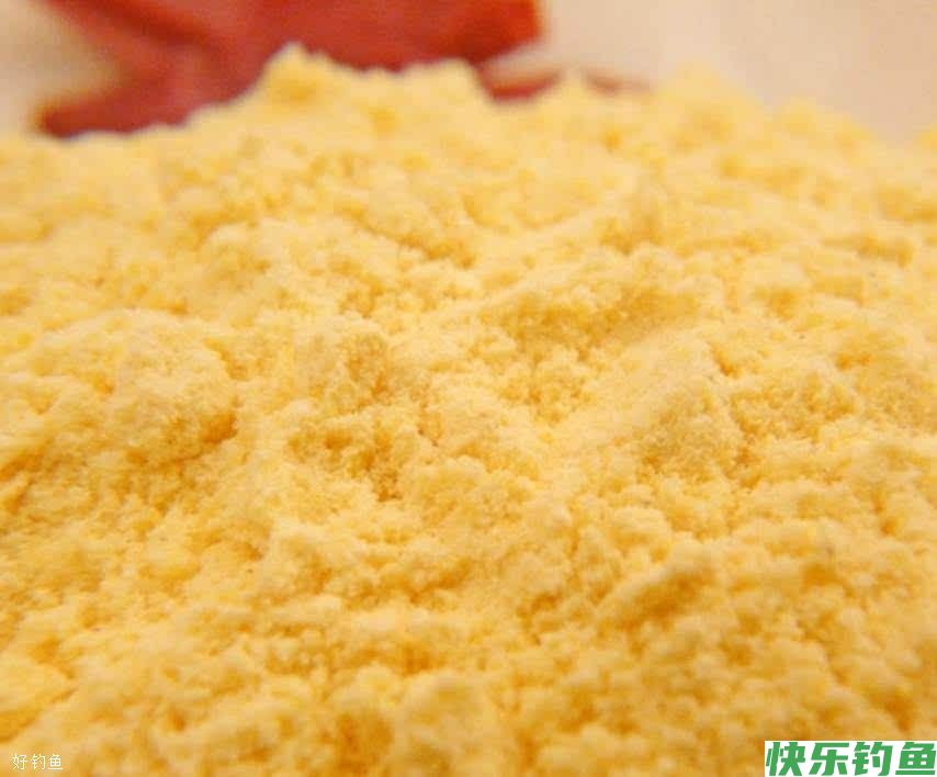 煮玉米面简略过程，钓鲫鱼鲤鱼(图2)