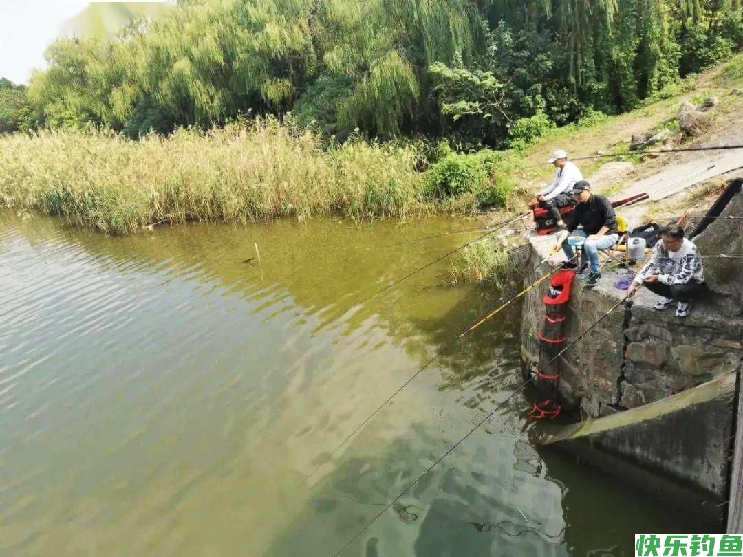 春季钓鲫鱼，牢记一钓二不三勤，照做的钓友渔获都不差(图2)