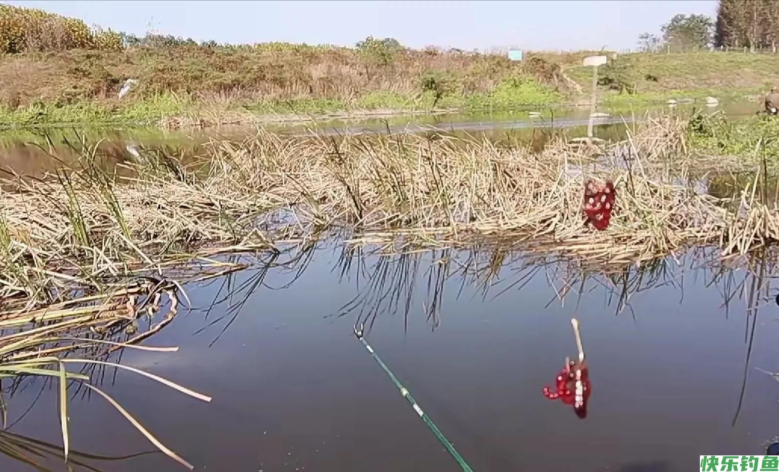 冬季野钓鲫鱼，钩饵保持怎样的水底状态，最可能实现鱼获最大化(图1)