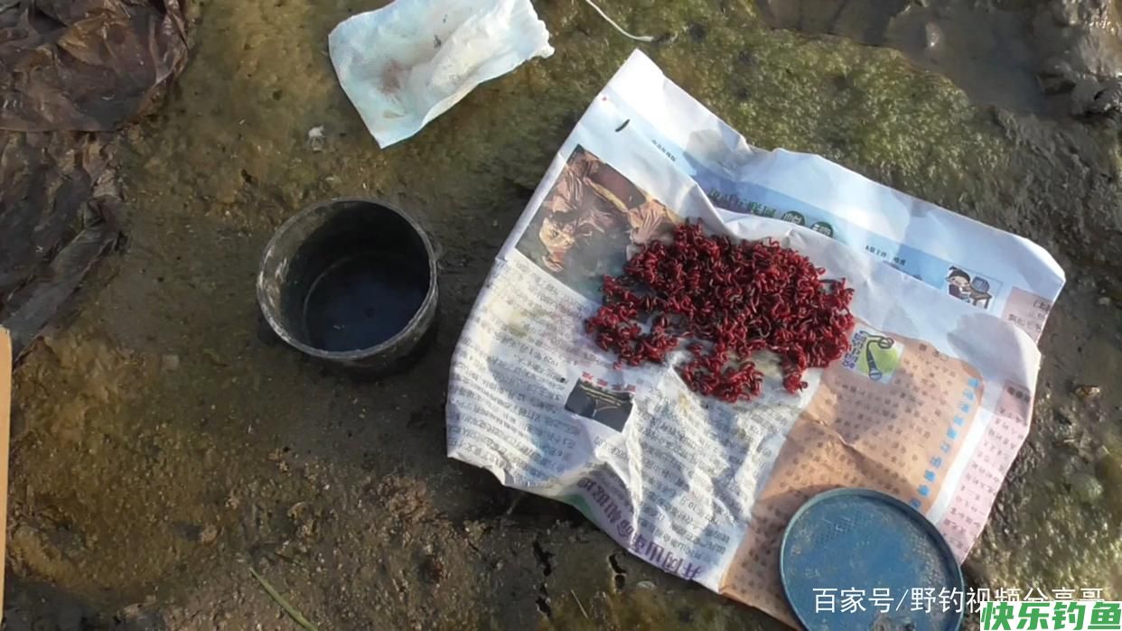 钓鲫鱼必须注意的几点，你就能比别人钓的多(图3)