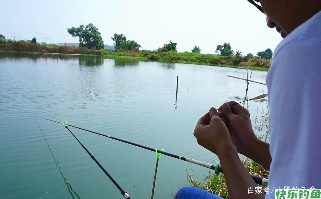 野钓鲫鱼该调几钓几？三种方案应对所有鱼情，这套思路钓王都在用(图2)