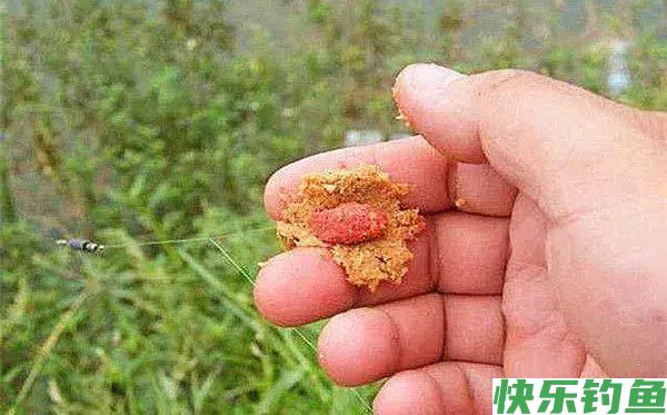 野钓经验谈之四 鲫鱼最爱吃的饵料 别担心你我都有(图1)