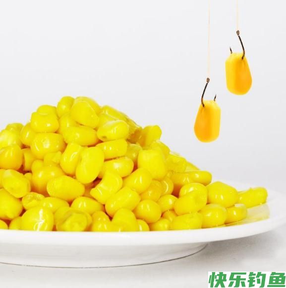 野钓经验谈之四 鲫鱼最爱吃的饵料 别担心你我都有(图6)