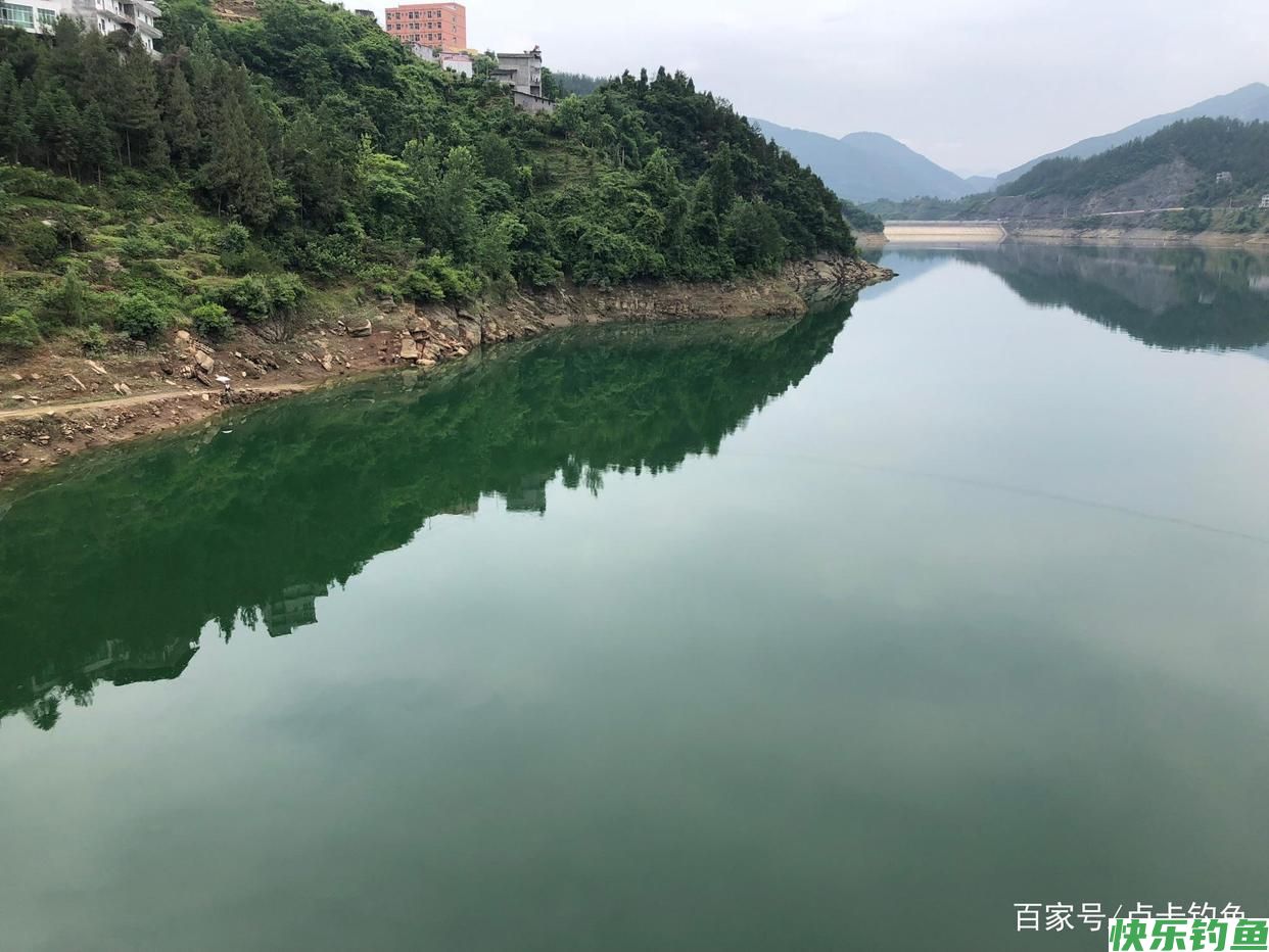 钓鲫鱼用什么饵料好？分清这几点不空军(图2)