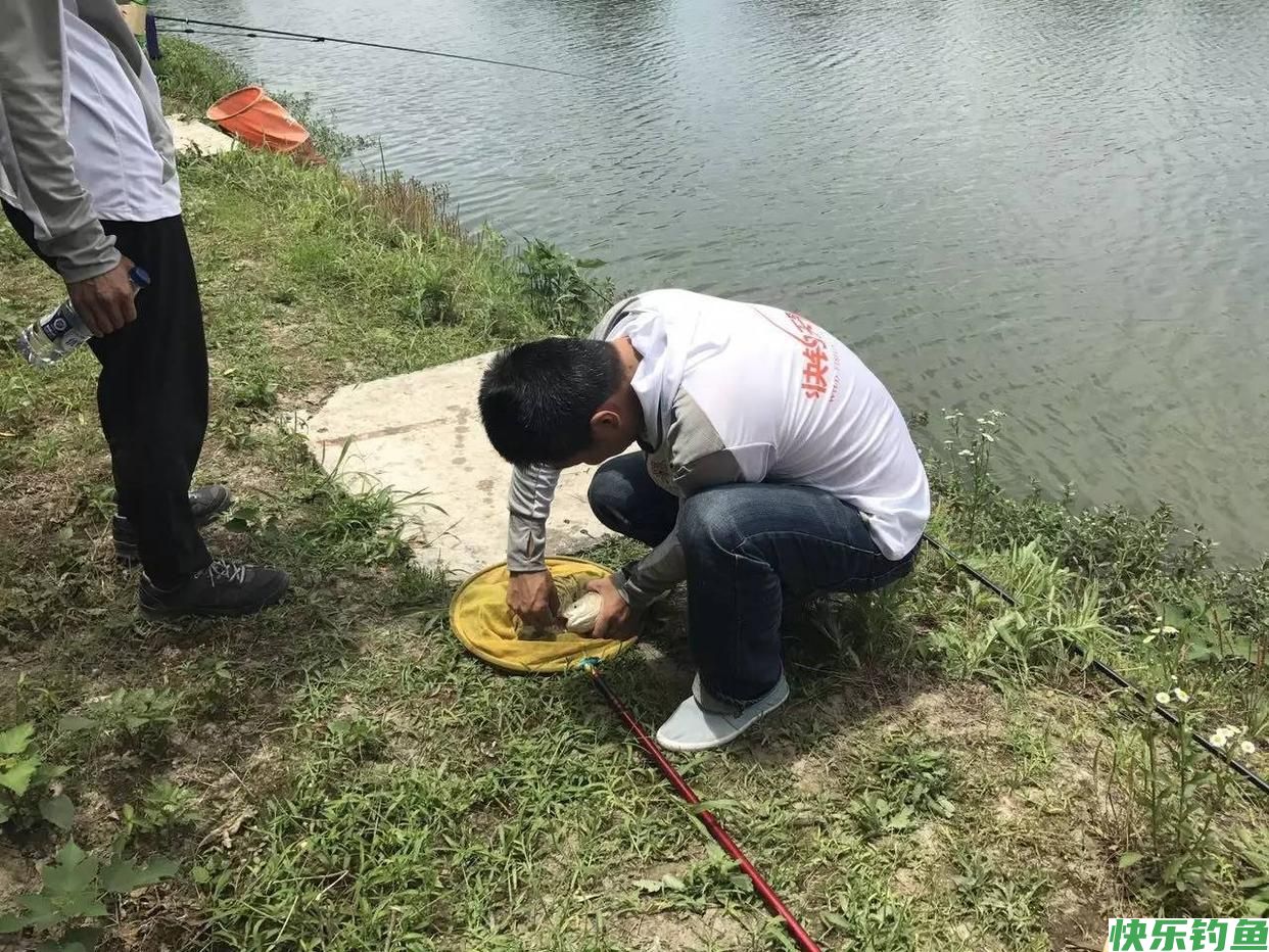 夏天钓鲫鱼的技巧和方法，想要比别人钓的多，请花1分钟耐心看完(图4)