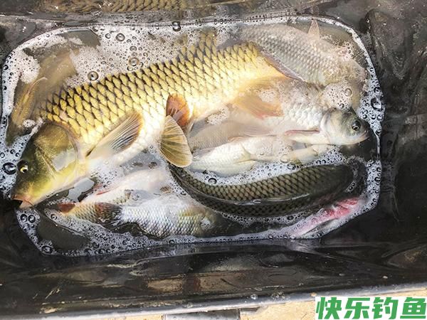野钓鲫鲤用多大的钩?选钩不能一概而论，得从这几点着手(图2)