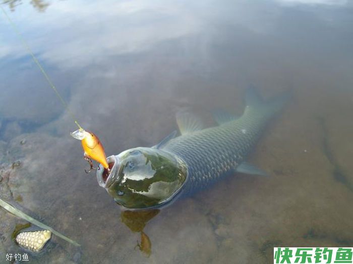 如何在寒冷的冬天里钓到大鱼，7个建议(图1)