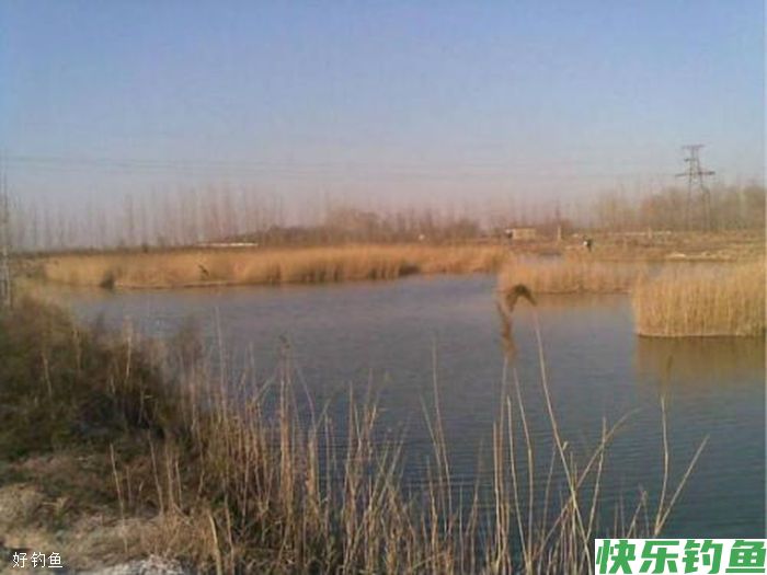 如何在寒冷的冬天里钓到大鱼，7个建议(图4)