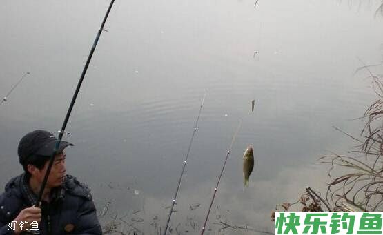 冬钓有十个好处你知道吗，看完以后都不想封竿了(图3)