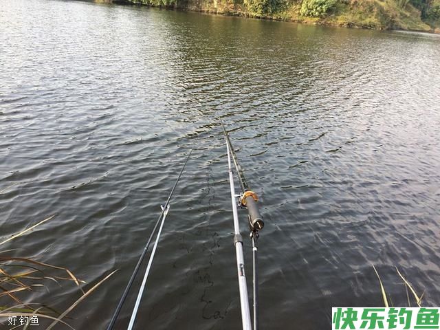 天气转凉之后鱼情大变！老钓友这4大黄金法则(图2)
