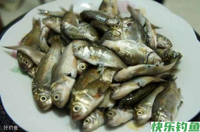 不同情况下野钓鲫鱼的子线长度(图1)