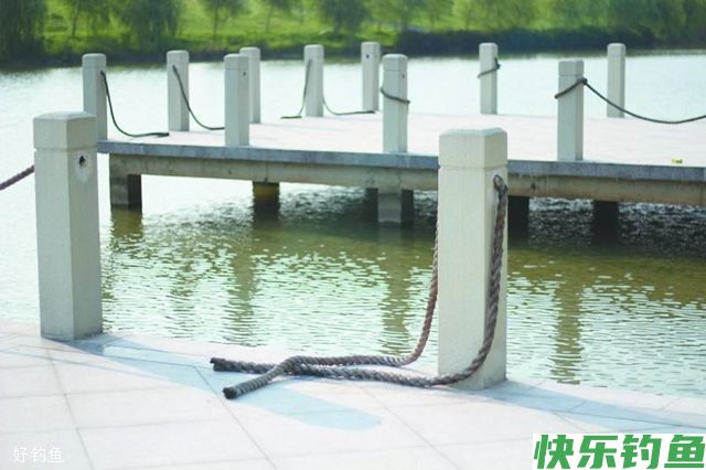 高手解答：秋季不同水域钓大鱼的四个技巧(图3)