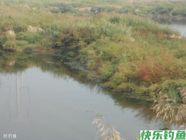 高手解答：秋季不同水域钓大鱼的四个技巧(图1)