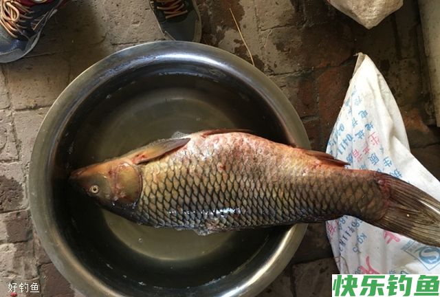 野钓水库选择钓位及饵料的技巧(图2) 野钓水库选择钓位及饵料的技巧(图2)