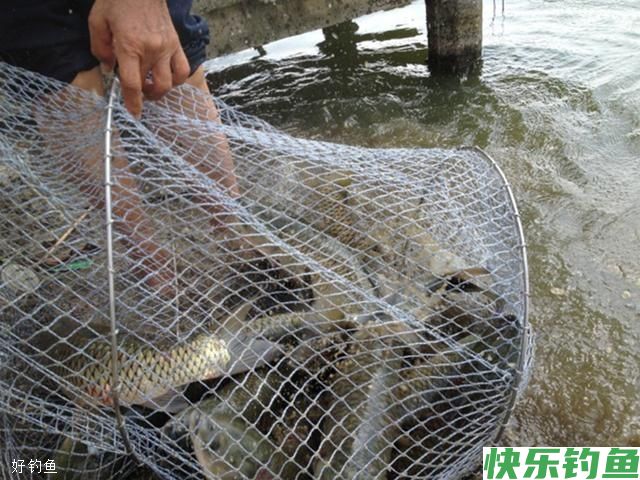 初冬钓鱼老是空竿都是这两种漂相误区惹的祸(图2)