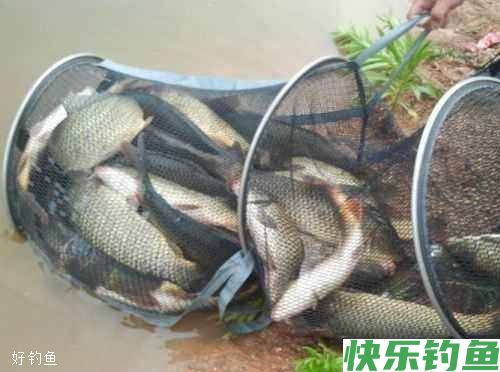 冬钓野钓,方法用对,轻松上鱼(图1) 冬钓野钓,方法用对,轻松上鱼(图1)