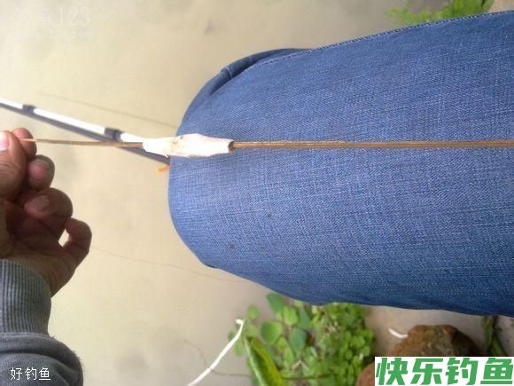 冬季钓鱼浮漂到底该怎么调?(图1) 冬季钓鱼浮漂到底该怎么调?(图1)
