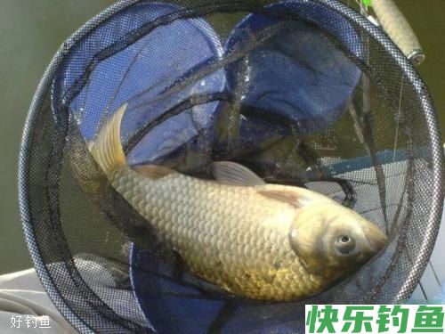 冬天钓具选用,真的需要一些小技巧(图1) 冬天钓具选用,真的需要一些小技巧(图1)