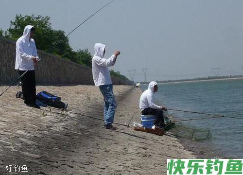 冬天钓鱼,钓鲫鱼要走,钓鲤鱼要守(图3) 冬天钓鱼,钓鲫鱼要走,钓鲤鱼要守(图3)