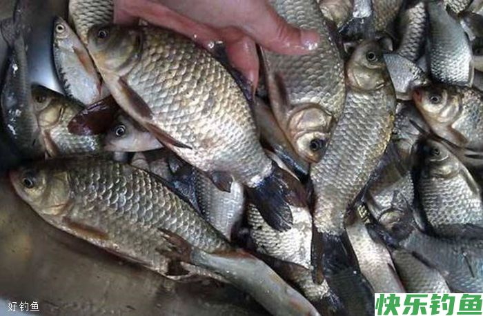 冬钓选钓位的4个关键性指标(图2) 冬钓选钓位的4个关键性指标(图2)