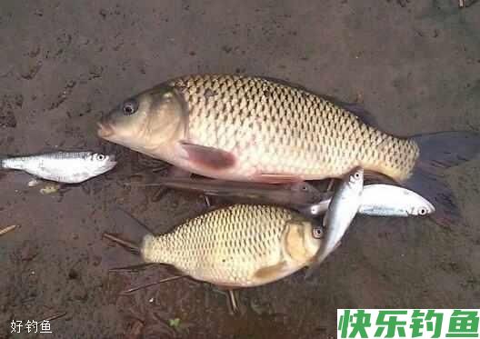 这5个南方冬季钓点选择让你分分钟爆护(图1)