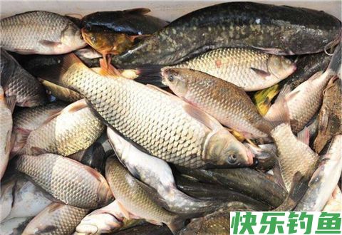 冬季野钓，线组的应用很重要(图2)