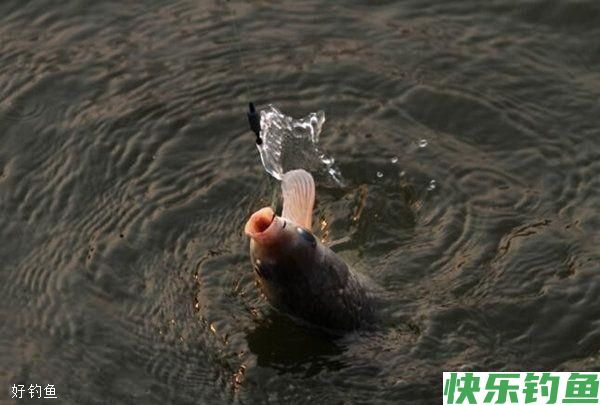 这三种野钓绝学，用来钓鲫鱼，好用到没话说(图2)