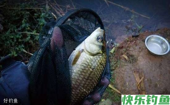 冬钓鲫鱼,选好钓位让你事半功倍(图1) 冬钓鲫鱼,选好钓位让你事半功倍(图1)