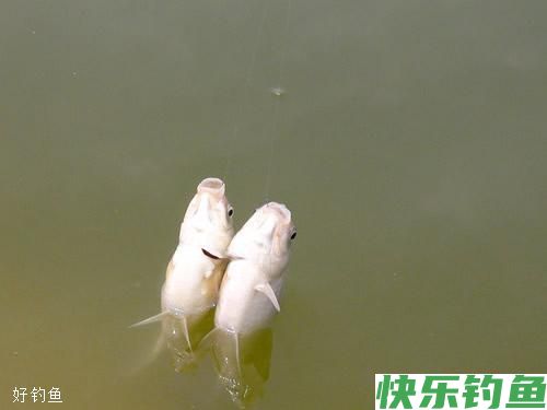 温差是影响冬季垂钓的关键天气因素(图1)