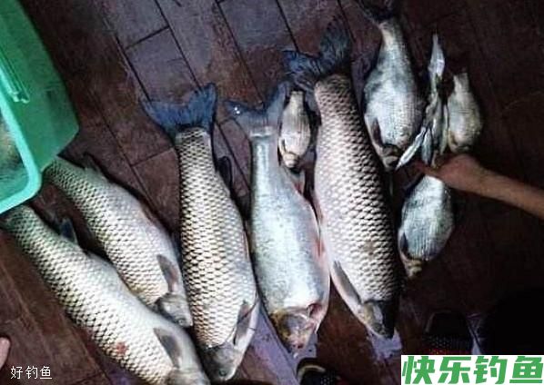 冬钓鲫鱼，这3点技巧你必须要知道(图1)