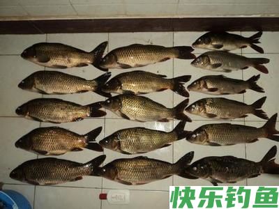 冬钓弱口鲫鱼的调漂和钓法(图1)