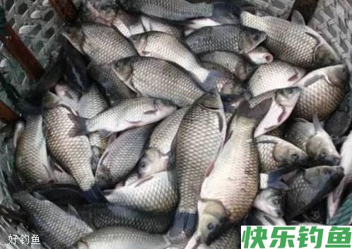 冬钓阳应注意的3个细节(图1)