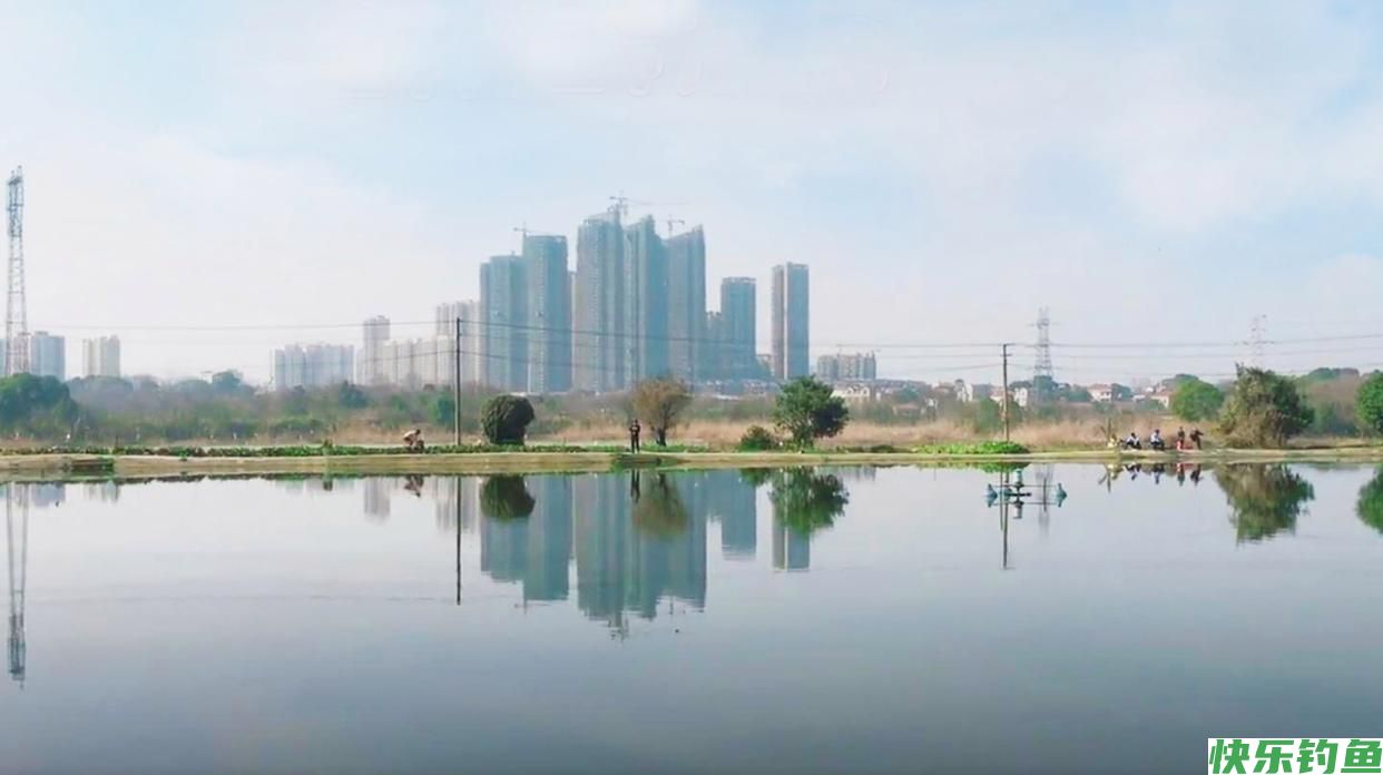 假日在武汉城区这处湖泊野钓，位置偏僻水面广，大板鲫一条接一条(图3)