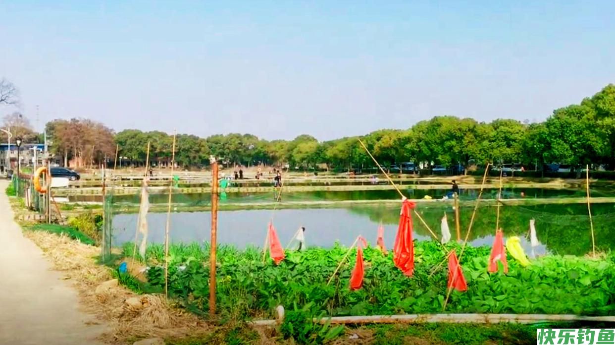 假日在武汉城区这处湖泊野钓，位置偏僻水面广，大板鲫一条接一条(图1)