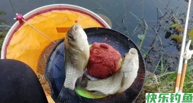 冬季野钓,钓点有鱼,却总是不咬钩!幸亏我用了这几招,屡试不爽(图5) 冬季野钓,钓点有鱼,却总是不咬钩!幸亏我用了这几招,屡试不爽(图5)