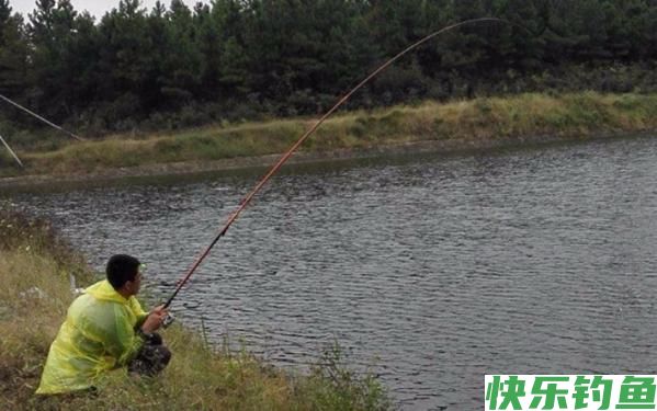 野钓鲤鱼没有秘诀，掌握这几个技巧，新手也能有收获